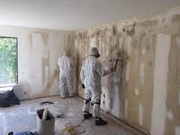 Professional Mold Remediation in De Graff, OH